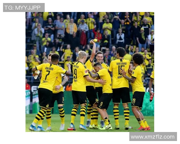 多特蒙德与纽伦堡实力对比分析及比赛前景展望