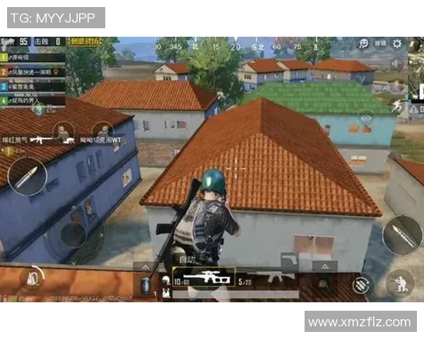 和平精英战术解析：深入了解WE战队的默契配合与战略布局MBA