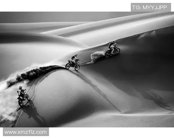 极限运动战术解析上海极限运动队的创新进攻体系探讨与实践MBA 极限运动战术解析上海极限运动队的创新进攻体系探讨与实践MBA