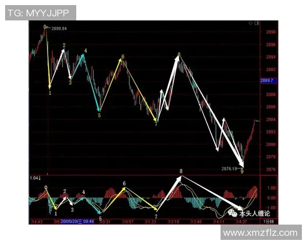 杭州篮球队包夹战术解析与实战应用探讨
