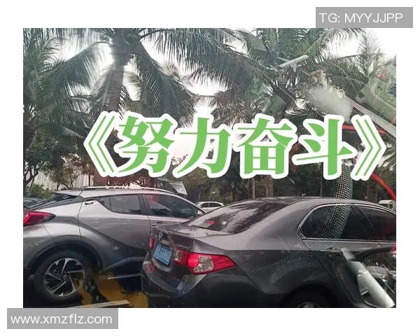 程帅澎:从平凡到卓越的奋斗历程与人生启示 程帅澎:从平凡到卓越的奋斗历程与人生启示